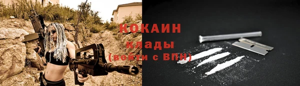 стафф Арсеньев