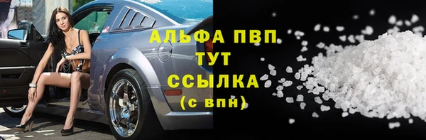 стафф Арсеньев