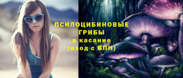 стафф Арсеньев