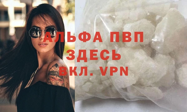 стафф Арсеньев