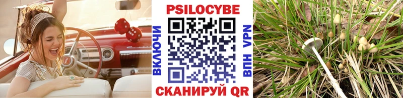 Галлюциногенные грибы мицелий  Мензелинск 