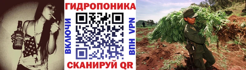как найти закладки  Мензелинск  Канабис гибрид 